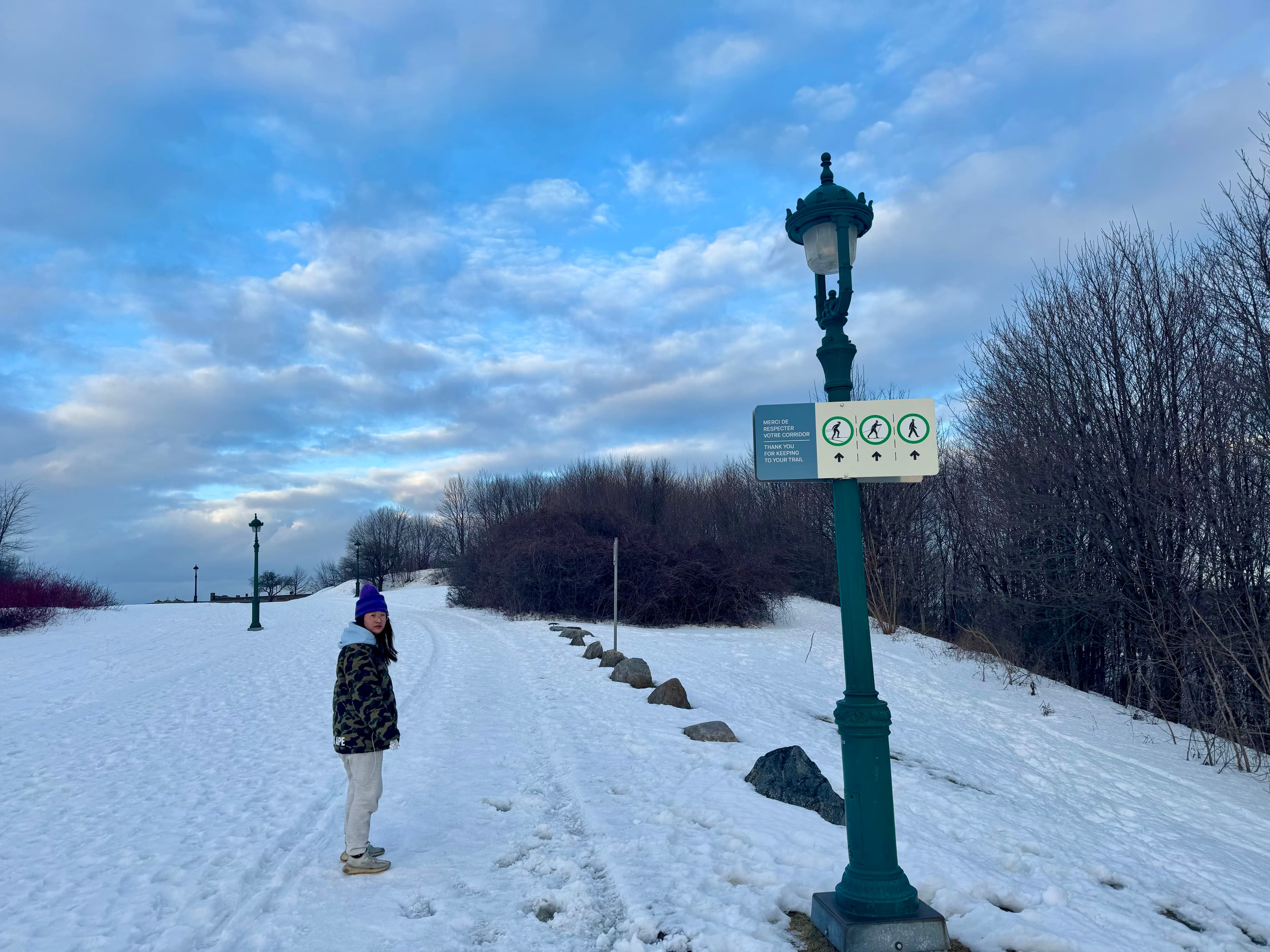 a background picture